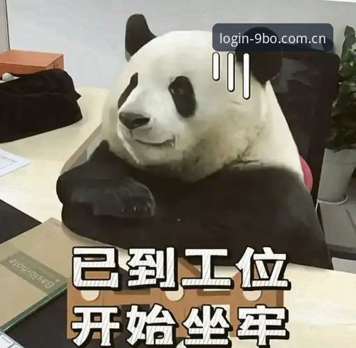 隔壁工位的李工上周休假回来，眉飞色舞地讲他在某平台连续预测对了几场冷门赛事，顺手截了一张账户余额的图。我凑过去瞄了一眼界面布局，问他用的是哪个入口，他愣了一下，说：“就那个……博什么的官方主页啊，反正朋友推给我就装了。”至于装的是哪个版本、从哪里下的，他说不清楚。这种回答我听得多了，每次有人提及类似问题，含糊其辞是常态，可关乎自己盘里的真金白银，含混不得。