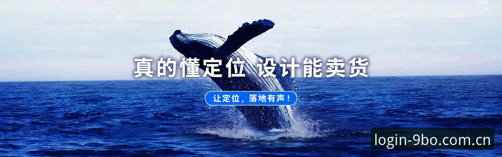 手机端还是PC端：2026博体育官网登录中文官方主页入口的体验差异与选择逻辑